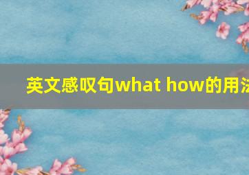 英文感叹句what how的用法